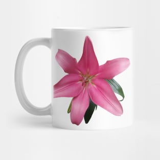 Pink lily Mug